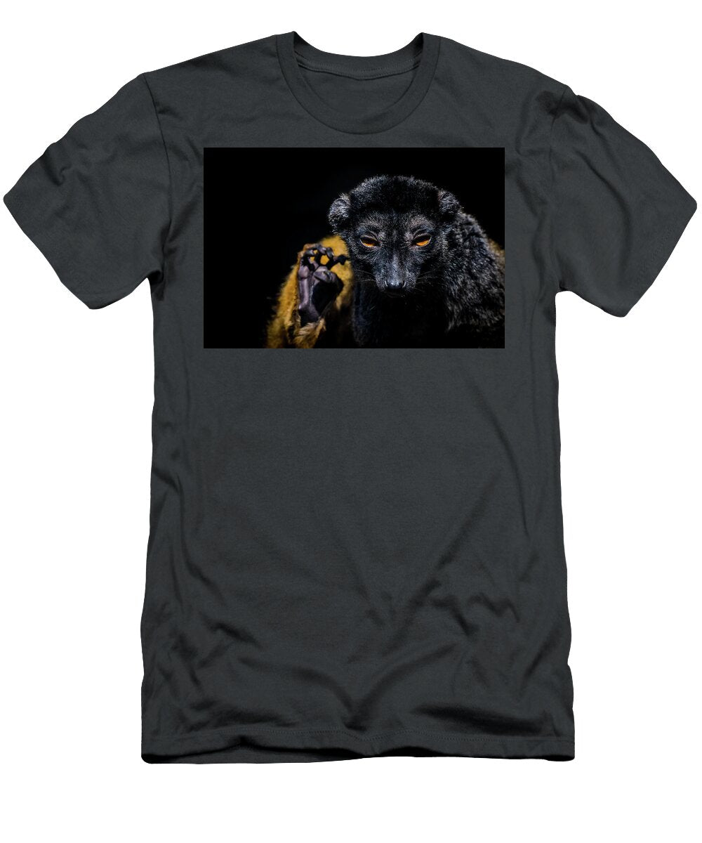 1 Lemur Katerina a Cechova T-Shirt