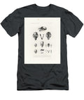 African Mammal Skulls Hugo Troschel T-Shirt