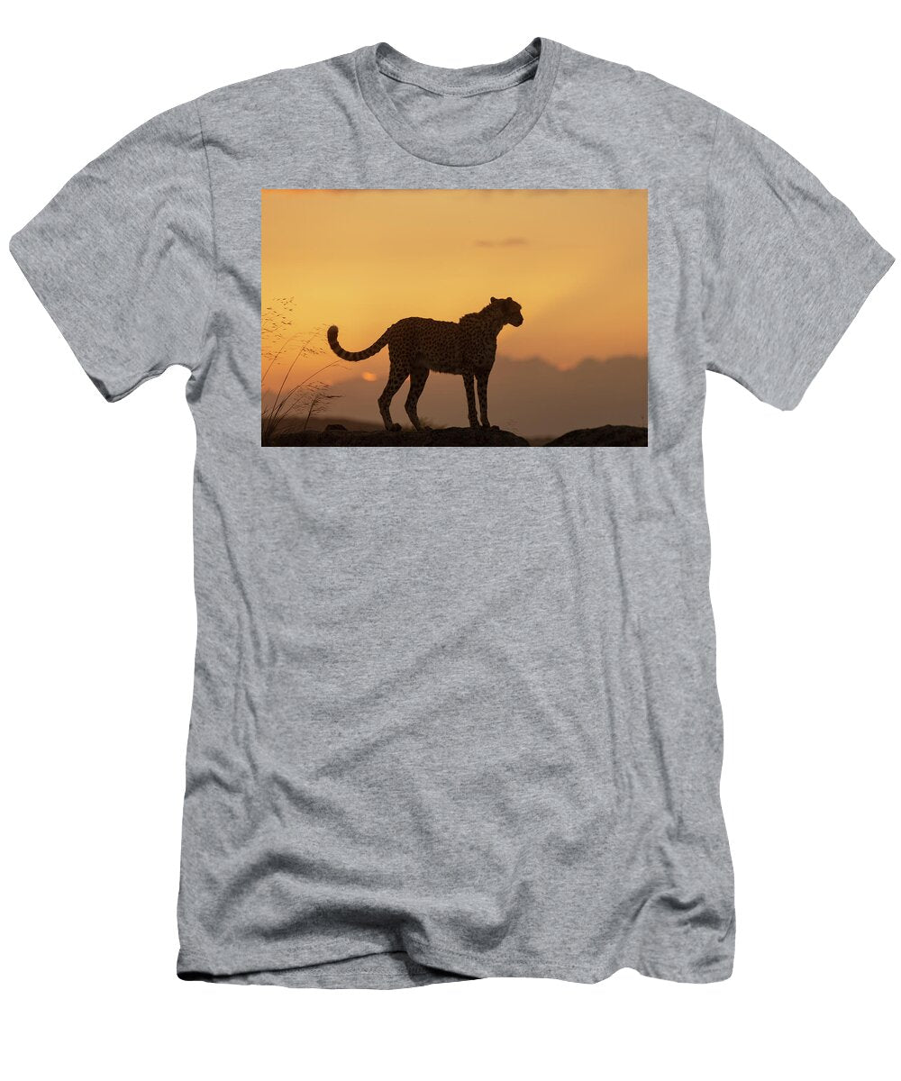 Cheetah Silhouetted At Sunset Spain Sylvain Cordier Natureplcom T-Shirt