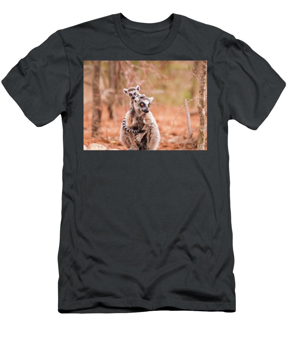 Curiosity Alex Lapidus T-Shirt