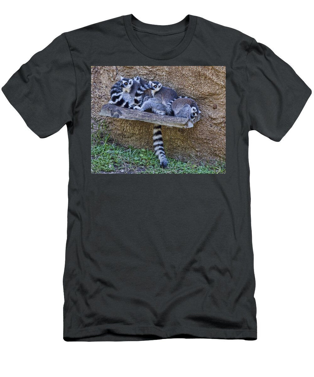 Endangered Ring Tailed Lemur Tn Fairey T-Shirt