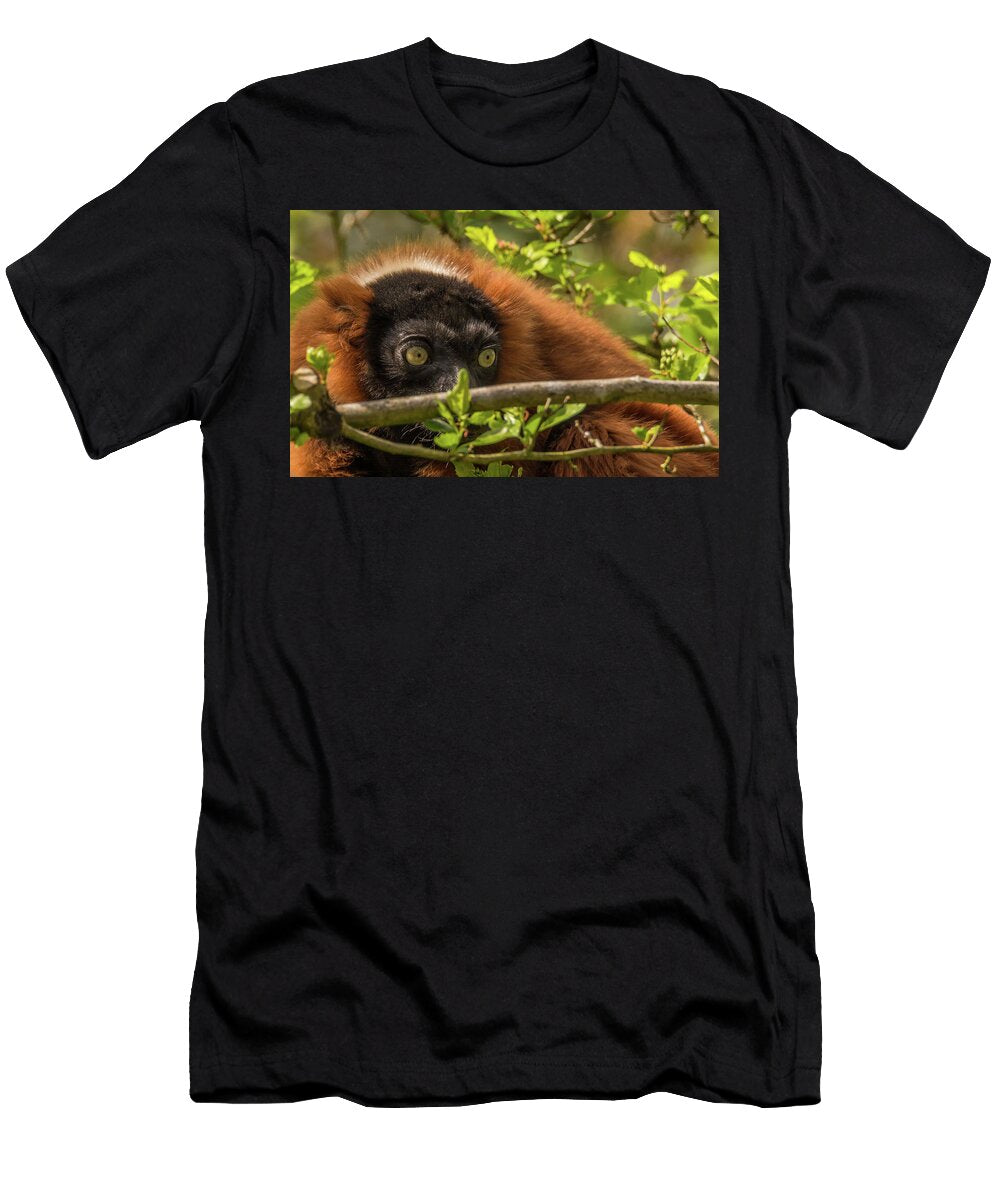 Eyes in the Forest Marv Vandehey T-Shirt