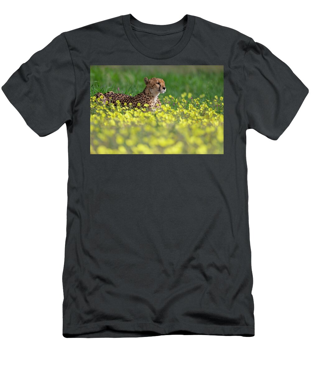 Female Cheetah Lying Down Among Devils Thorn Flowers Ann Steve Toon Natureplcom T-Shirt