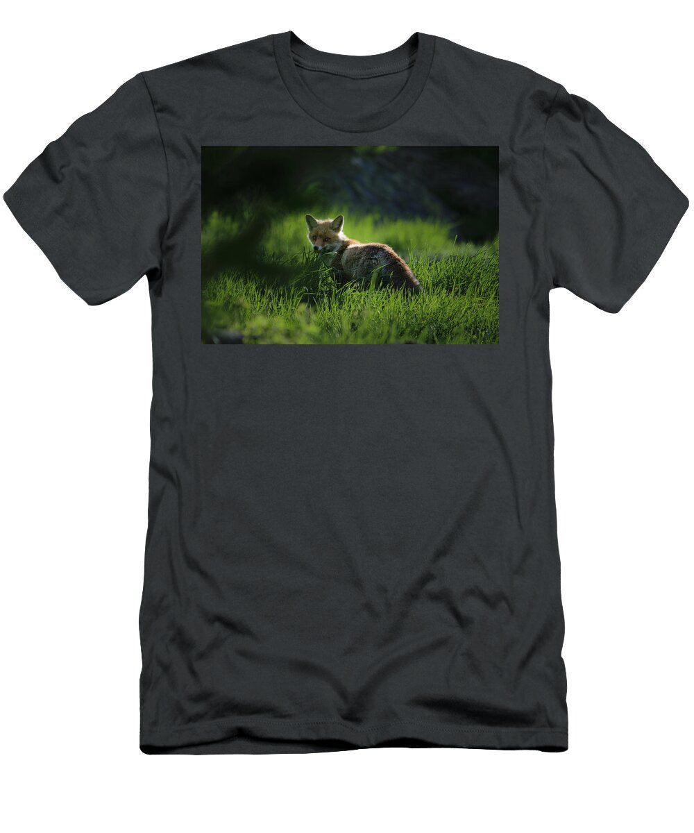 Fox Domaxph T-Shirt