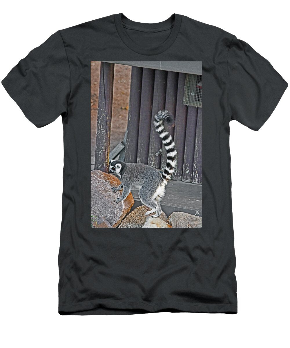 Got to Move These Rocks Miroslava Jurcik T-Shirt