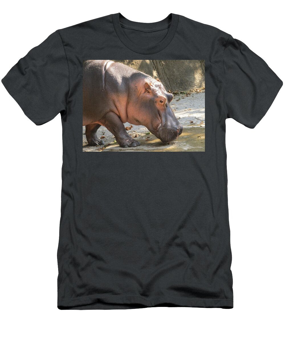 Hippo 3 Les Classics T-Shirt