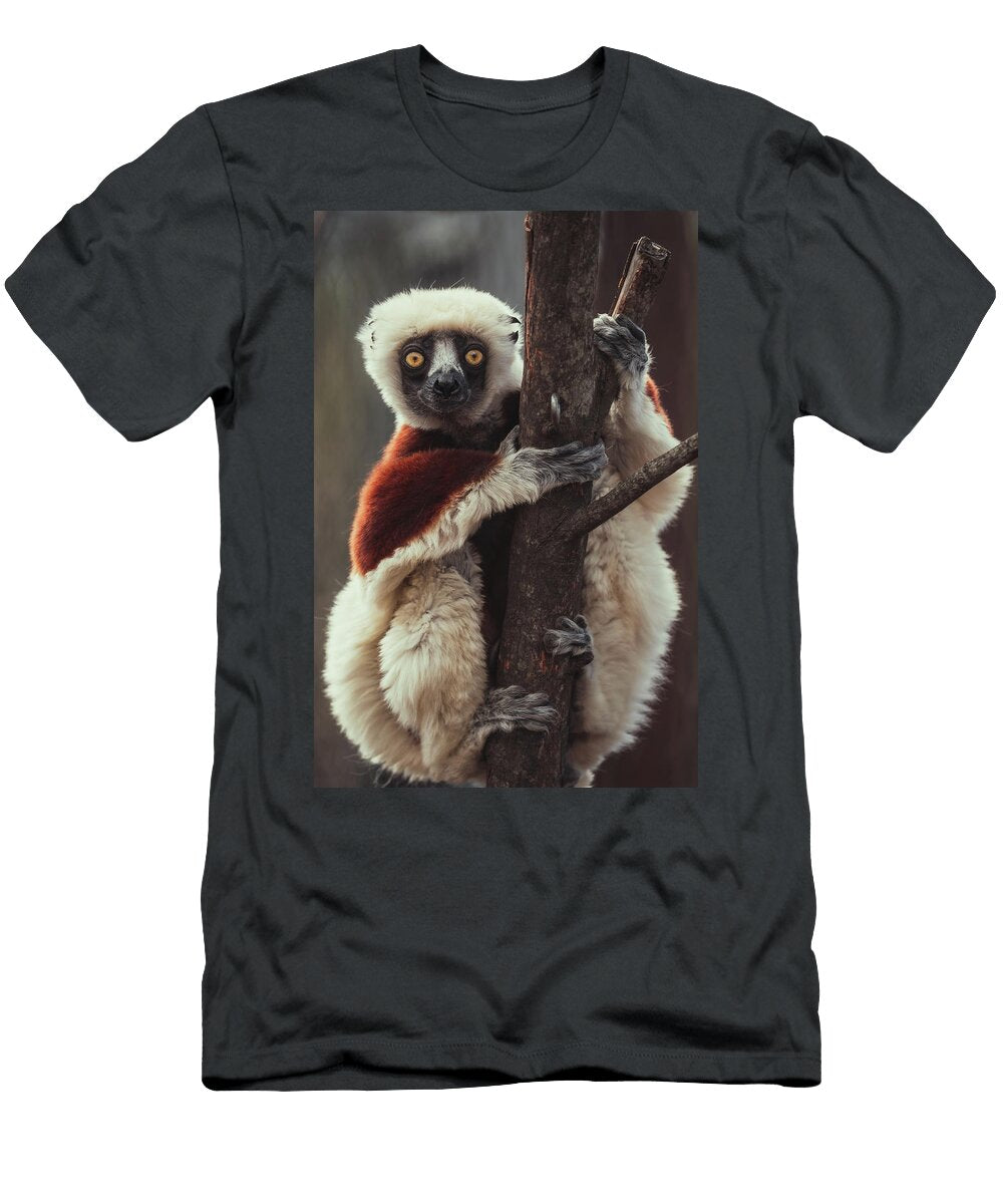 Lemur Adam Sprouse T-Shirt