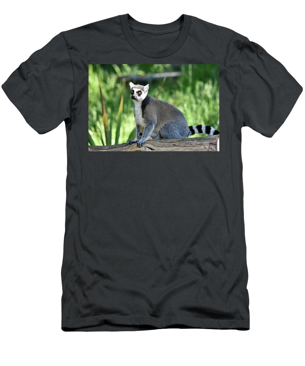 Lemur David Farley T-Shirt