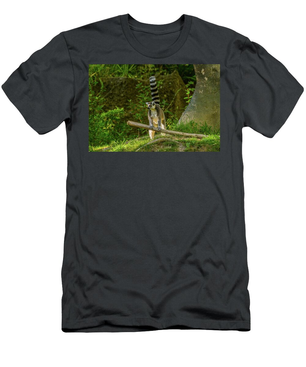Lemur Leaning on a Big Stick Marv Vandehey T-Shirt