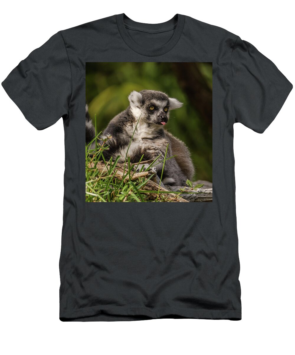 Lemur Sticking Its Tongue Out Marv Vandehey T-Shirt