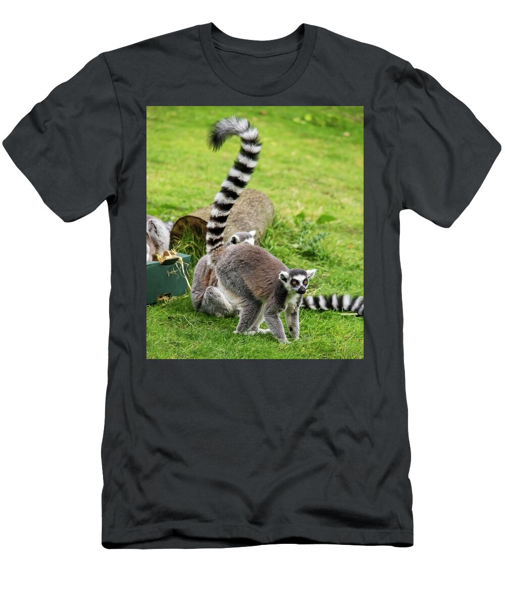 Lemur Zita Stankova T-Shirt