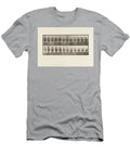 Plate 742 Bactrian Camel a Racking B Galloping 1885 Collotype on Paper Eadweard Muybridge T-Shirt