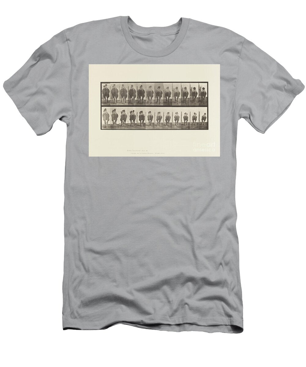 Plate 742 Bactrian Camel a Racking B Galloping 1885 Collotype on Paper Eadweard Muybridge T-Shirt