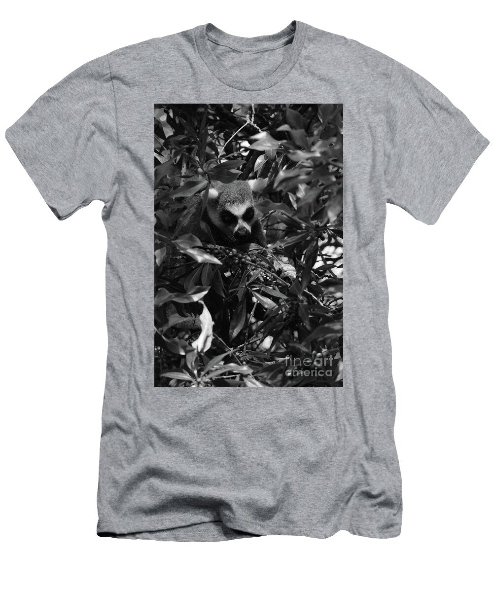 Ring Tailed Lemur Berries Bw Eddie Barron T-Shirt