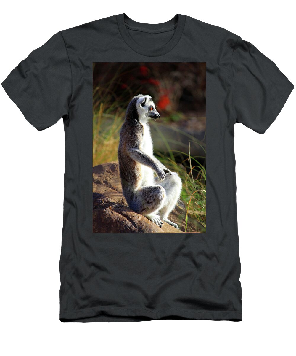 Sunbathing Audrey Woods T-Shirt