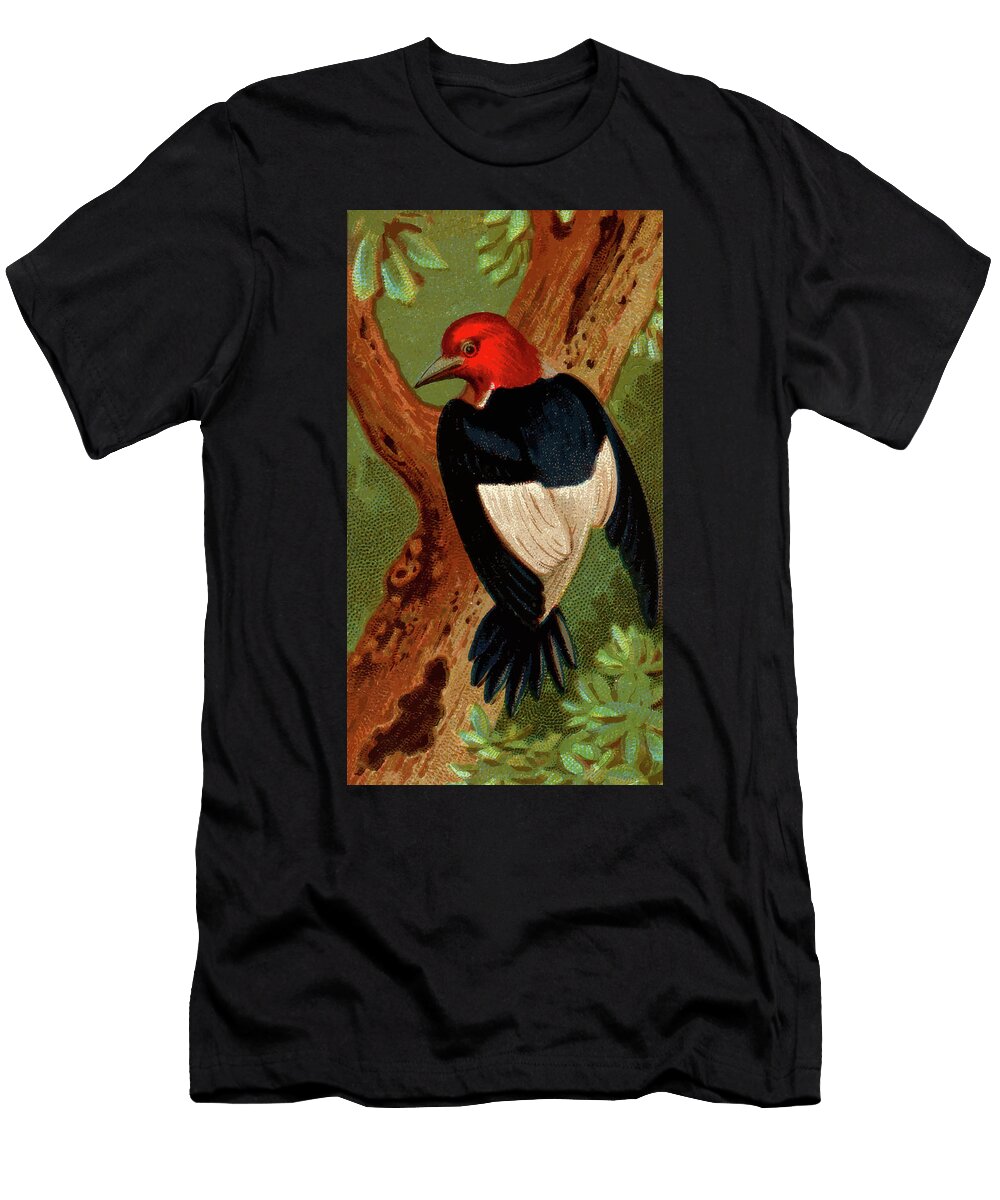 Woodpecker Vintage Animal Illustration Picked and Shared T-Shirt